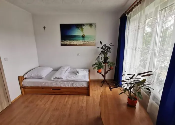 홈스테이 Goscinne U Marysi