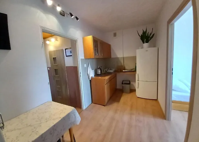 홈스테이 Goscinne U Marysi *